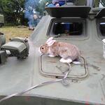 IMG_20210801_123717
