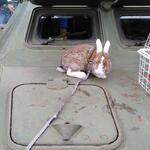 IMG_20210801_123741