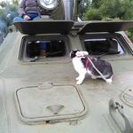 IMG_20210801_123933