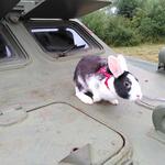 IMG_20210801_123936
