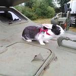 IMG_20210801_123939