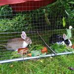 IMG_20210703_174334