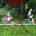 IMG_20210703_174342