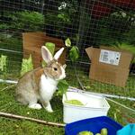 IMG_20210710_140011