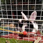 IMG_20210710_155606
