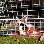 IMG_20210710_155610