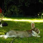 IMG_20210718_101413