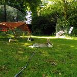 IMG_20210718_101421