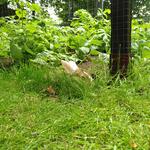 IMG_20210725_132836