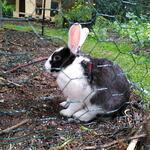 IMG_20210725_132847