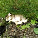 IMG_20210725_144710