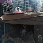 IMG_20210730_161554