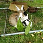 IMG_20210815_135345