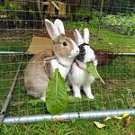 IMG_20210815_135350