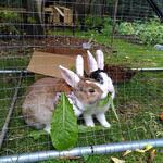 IMG_20210815_135353