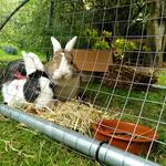 IMG_20210815_135732