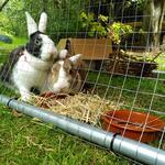 IMG_20210815_135742