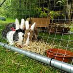 IMG_20210815_135747