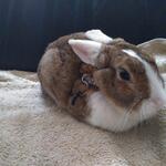 IMG_20210904_074057
