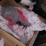 IMG_20210906_195840