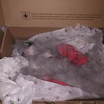 IMG_20210906_200101