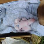 IMG_20210906_200908