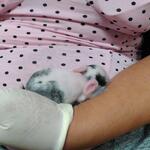 IMG_20210906_201048