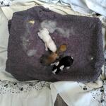 IMG_20210908_131943