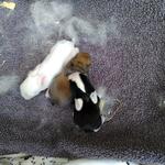 IMG_20210908_131951