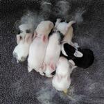 IMG_20210908_132411