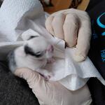 IMG_20210909_092714