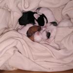 IMG_20210911_071613
