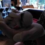 IMG_20210912_075731