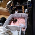 IMG_20210916_200031