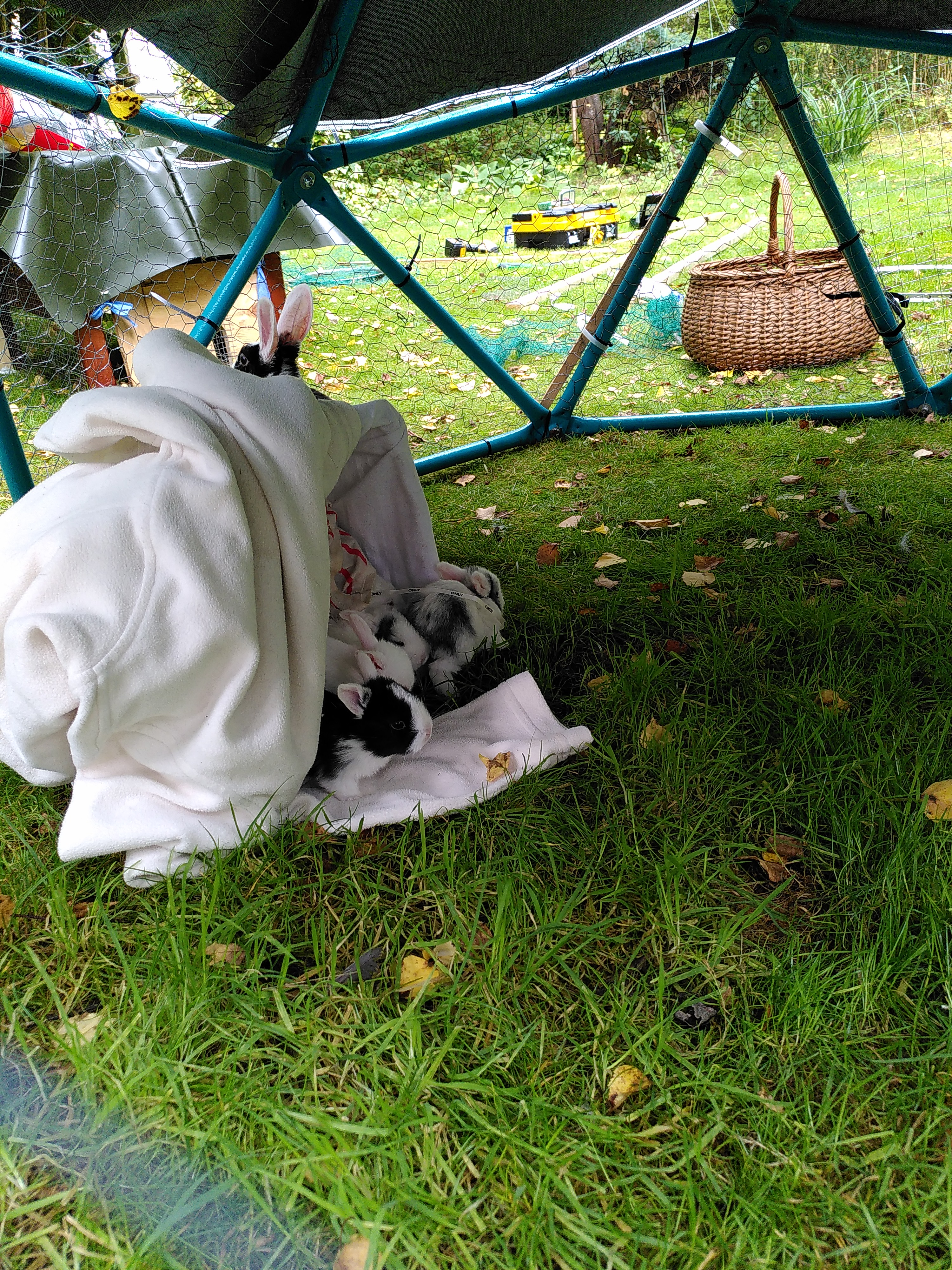 IMG_20210918_105948