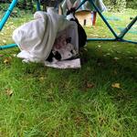 IMG_20210918_110012