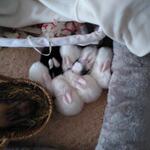 IMG_20210919_082009
