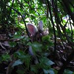 IMG_20210919_173512