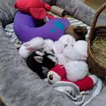 IMG_20210920_193957