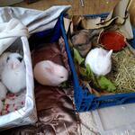 IMG_20210921_072513