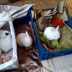 IMG_20210921_072519