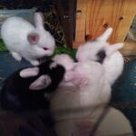 IMG_20210921_201308