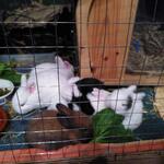 IMG_20210921_201324