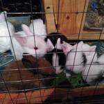IMG_20210921_201332