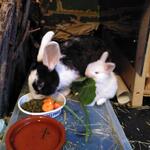 IMG_20210922_065751