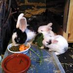 IMG_20210922_065759