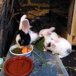 IMG_20210922_065802