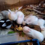 IMG_20210922_071455