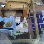 IMG_20210924_073449