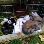 IMG_20210925_124644